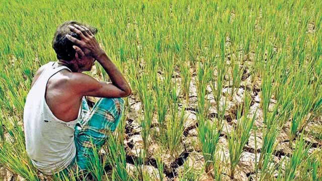 Farmers Protests Why India s Agriculture Problems Are Much Deeper 