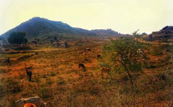 ओबरा और दुद्धी : कोर्ट ने कहा कि आदिवासी ही लड़ेंगे अपनी ज़मीन पर चुनाव