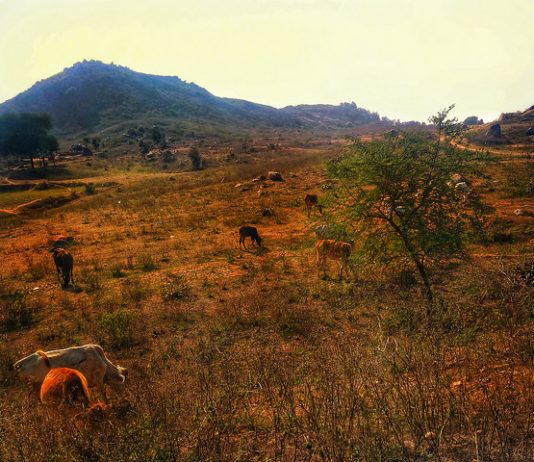 सोनभद्र: कोई नहीं चाहता कि आदिवासी अपनी ज़मीन पर चुनाव लड़े