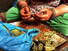 बीड़ी ही बना जीने का सहारा…