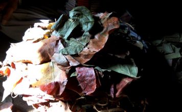 सियासत के चक्रव्यूह में रामपुर का बीड़ी उद्योग