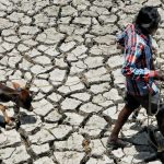 Dalit boy in UP commits suicide after being boycotted for killing a Calf