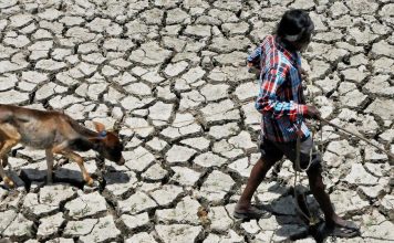 Dalit boy in UP commits suicide after being boycotted for killing a Calf