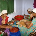 Indian tribal women’s ‘smart’ ride to economic self-reliance