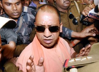 Yogi's two most controversial decisions also most popular: Survey