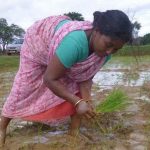 विश्व स्वास्थ्य दिवस गुज़र गया, लेकिन इन आदिवासी महिला किसानों की किसी से न भी सुनी…