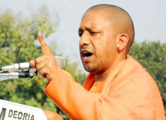 Yogi's 'No Agent' rule causes chaos at RTO