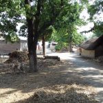 जहां बिजली के खंभे नहीं हैं, वहां कितने घंटे बिजली?