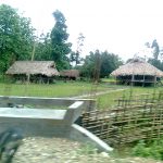 In Arunachal, tribal taboos are conservation devices