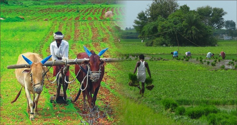 Is India faced with a 3.1 lakh crore farm-loan waiver? And will it help? –  TwoCircles.net