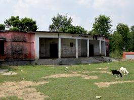 बदहाल हैं गांधी के ज़रिए खोले गए स्कूल, कैसे पनपेगी विचारधारा