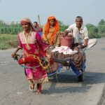 चोरी हुई खच्चर तो खुद के कंधे पर 70 किलोमीटर तक बुग्गी खींचती रही मीना सलीम