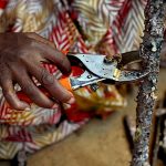 मनोबल टूटा था, पर हिम्मत नहीं हारी…