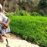 फॉस्फेटिक खाद के दाम में इज़ाफ़ा, किसान परेशान