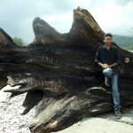 शाह आलम : क्रांतिकारियों के लिए पहले साईकिल यात्रा और अब खोल दी चंबल आर्काइव