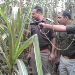 क्या उत्तर प्रदेश की एनकाउंटर पुलिस के पास लाइसेंस टू किल है!