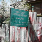Elections are nothing more than a drama here: The view from Shopian, J&K
