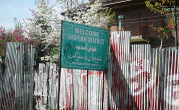 Elections are nothing more than a drama here: The view from Shopian, J&K