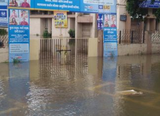 Maharashtra floods:  Citizens come to rescue in Sangli as government delays
