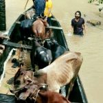 Tales of love from flood-hit Kerala