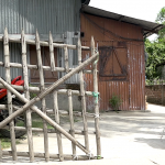 एनआरसी का असम के बच्चों पर असर, उनकी शिक्षा हो रही है प्रभावित