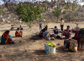 67% migrant labourers still stranded in India, says SWAN report on migrant crisis amid COVID-19