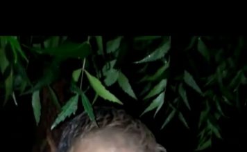 “If there is any justice left in India, we will get it,” say Muslim youth beaten by mob in Maharashtra on accusations of animal theft