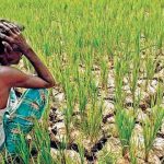 Farmers protests: why India’s agriculture problems are much deeper