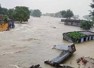 Farmers suffer most, as govt turns blind eye to floods in North Western Bihar