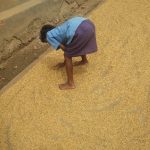 Tracing shadow footprints: Development and lives of Purulia’s Santhal people – Part I