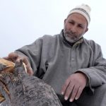 “They slaughtered our trees like goats,” Kashmir’s farmers, forest dwellers fear losing livelihood, homes