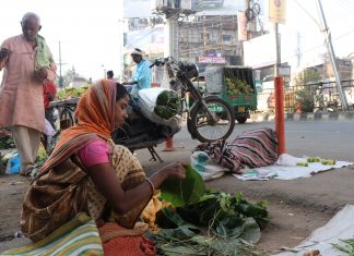 Hanging by the leaves: Overwork, meager income, price rise mars livelihood of these Adivasi women