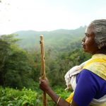 “We are neglected as our vote share is less,” Tamil Nadu’s tribal minorities rue govt. apathy