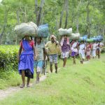 May Day: ‘No way out of tea estates,’ housing woes, low wages compel workers from Assam tea gardens to migrate
