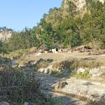 टीसीएन स्पेशल :  मुश्किल है शिवालिक की पहाड़ियों में बसे वन गुर्जरो को वैक्सीन लगाने की कवायद  !