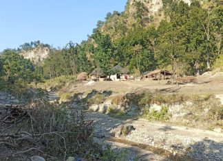 टीसीएन स्पेशल :  मुश्किल है शिवालिक की पहाड़ियों में बसे वन गुर्जरो को वैक्सीन लगाने की कवायद  !