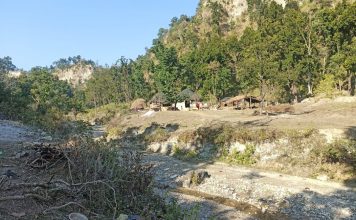 टीसीएन स्पेशल : मुश्किल है शिवालिक की पहाड़ियों में बसे वन गुर्जरो को वैक्सीन लगाने की कवायद !