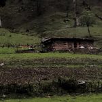 Part II: Gujjar-Bakerwal community in Jammu and Kashmir face depleted livelihood, exclusion, fear of attacks amid pandemic