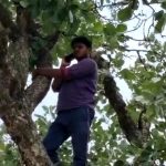 डिजिटल इंडिया का सच : उत्तर प्रदेश का एक थाना ऐसा भी जहां नही है मोबाइल नेटवर्क, पेड़ पर चढ़कर करते हैं बात