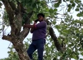 डिजिटल इंडिया का सच : उत्तर प्रदेश का एक थाना ऐसा भी जहां नही है मोबाइल नेटवर्क, पेड़ पर चढ़कर करते हैं बात