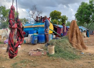 “We struggle for our basic needs, don’t have time to think if we are oppressed,” nomadic tribe in Bangalore