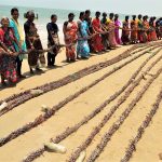 How coastal inhabitants of India make a living through seaweed cultivation