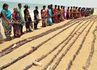 How coastal inhabitants of India make a living through seaweed cultivation