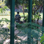 ‘An open prison’: Back in campus after 2 years, Jamia students decry police presence