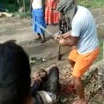 बिहार में दलित युवक की बेरहमी से हत्या, 6 गिरफ्तार