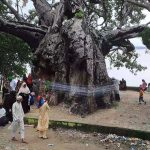 This Muslim shrine in Prayagyraj is holy to all faiths