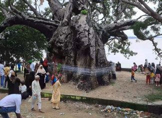 This Muslim shrine in Prayagyraj is holy to all faiths