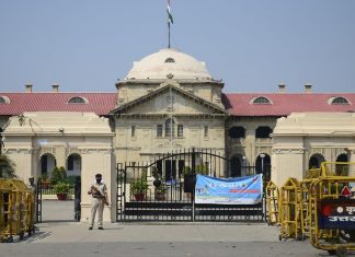 Cow acts as surrogate mother of human beings, observes Allahabad HC