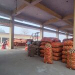 ग्राऊंड रिपोर्ट : अच्छी फसल के बावूजद आलू किसानों में मायूसी, बोले किसान , इनके पास जातियों का डाटा, फसलों का नही !