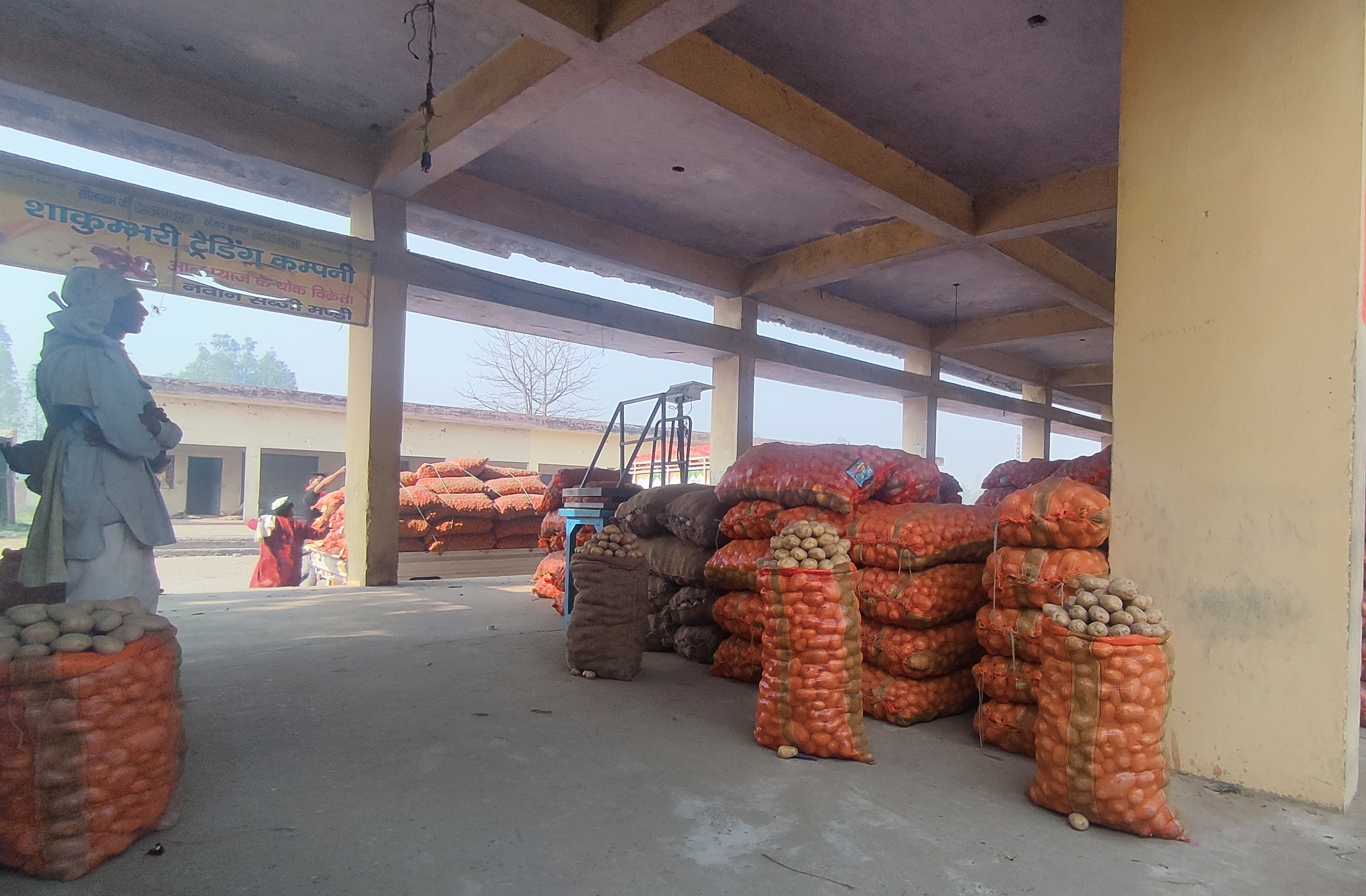 ग्राऊंड रिपोर्ट : अच्छी फसल के बावूजद आलू किसानों में मायूसी, बोले किसान , इनके पास जातियों का डाटा, फसलों का नही !